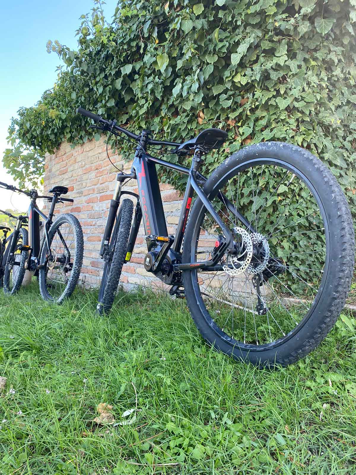 Flaminia Agribike di Marcello Di Piazza – Mombaroccio