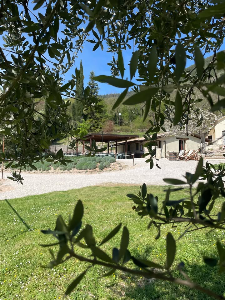 Da Bartulin SNC di Londei Giacomo & C – Fossombrone